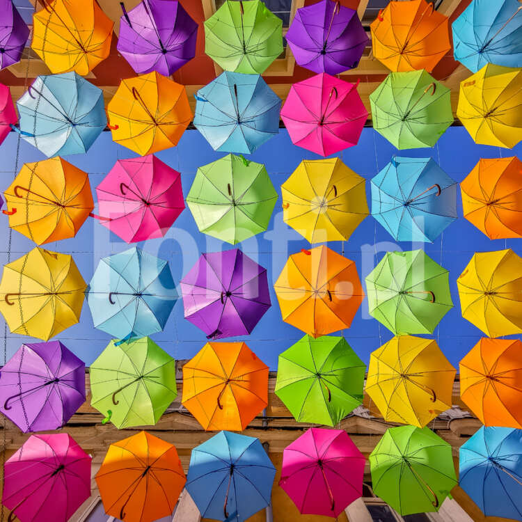 Colorful umbrellas against the sky Leszno.jpg - Fonti.pl