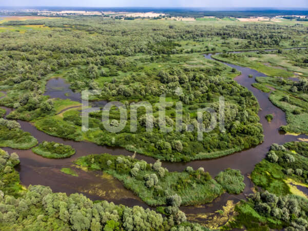 Faunistyczny rezerwat przyrody zbiornik Jeziorsko.jpg - Fonti.pl