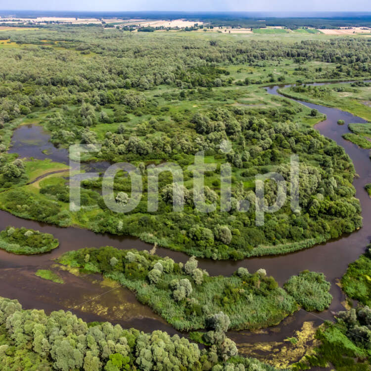 Faunistyczny rezerwat przyrody zbiornik Jeziorsko.jpg - Fonti.pl