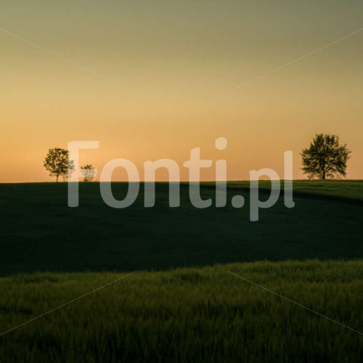 Piękny widok zachód słońca okolice Leszna.jpg - Fonti.pl