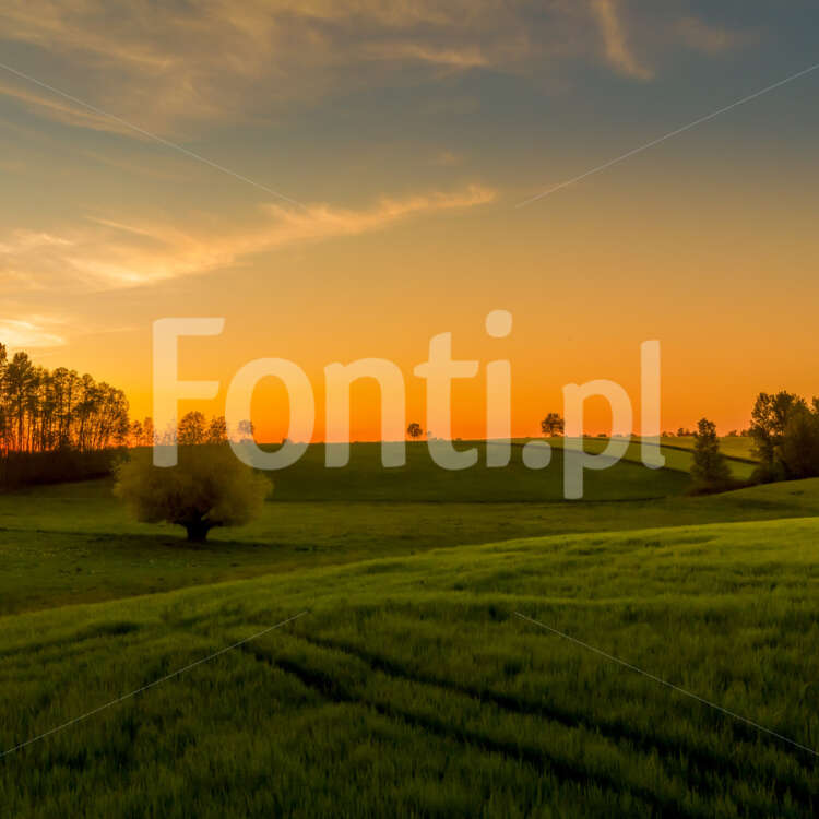 Rural landscape.jpg - Fonti.pl