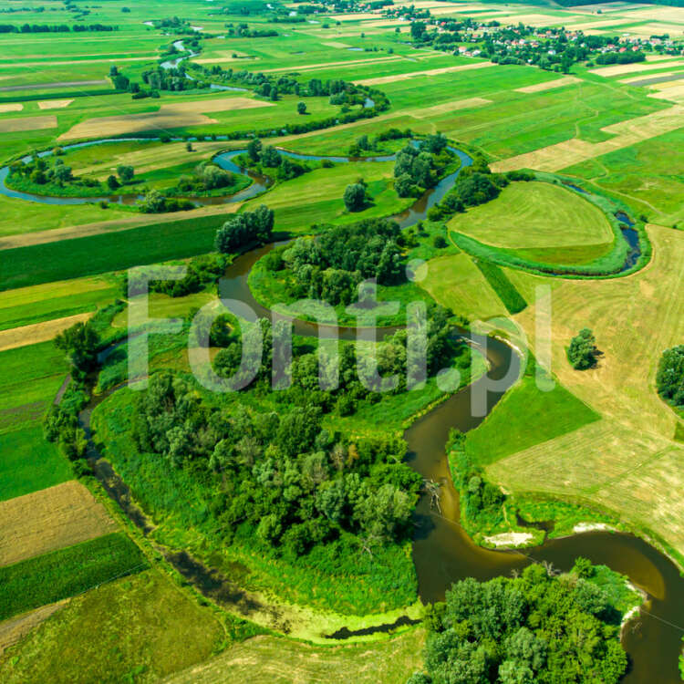 Rzeka Nida Ponidzie z góry.jpg - Fonti.pl