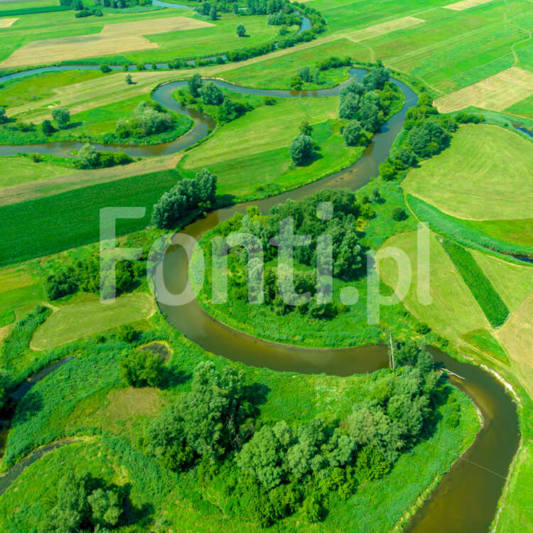 Rzeka Nida na Ponidziu.jpg - Fonti.pl
