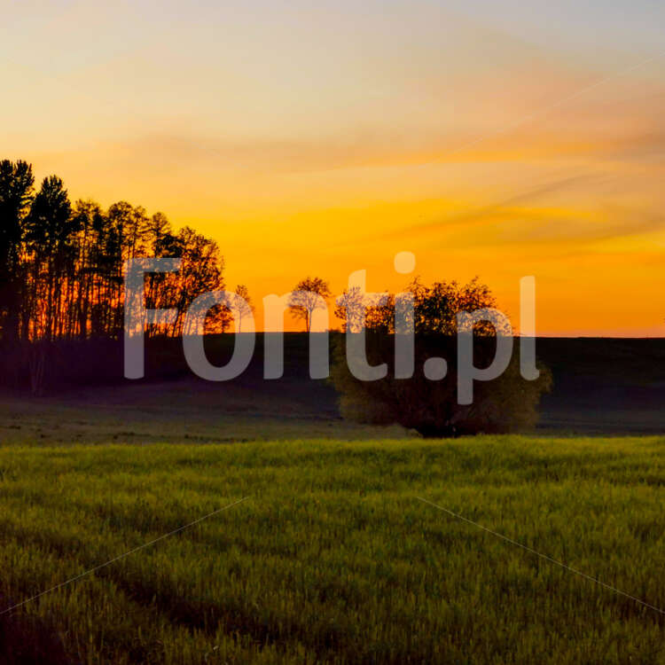 Słońce chyli się ku nocy wieś okolice Leszna.jpg - Fonti.pl