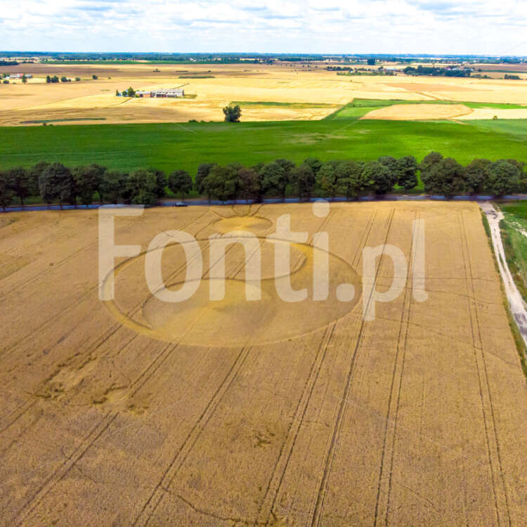 crop circles in Poland.jpg - Fonti.pl