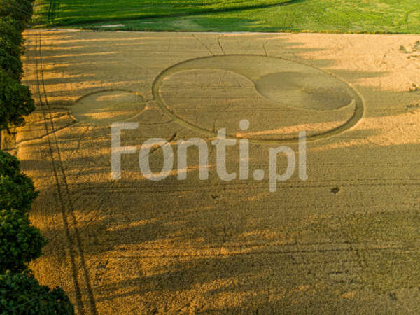 crop circles sunset.jpg - Fonti.pl