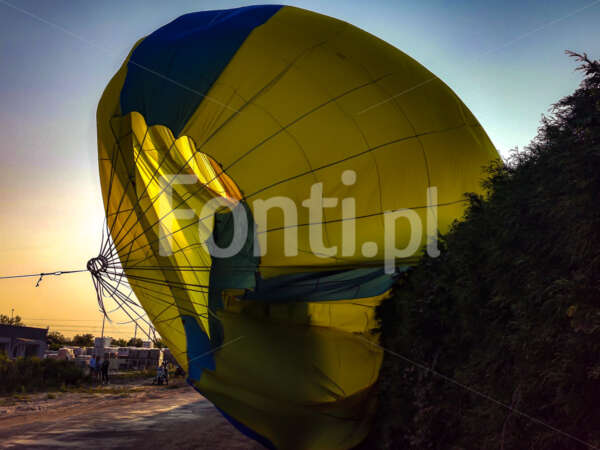 Balon w krzakach.jpg - Fonti.pl