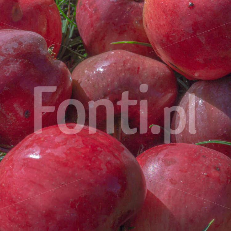 Czerwone jabłka.jpg - Fonti.pl