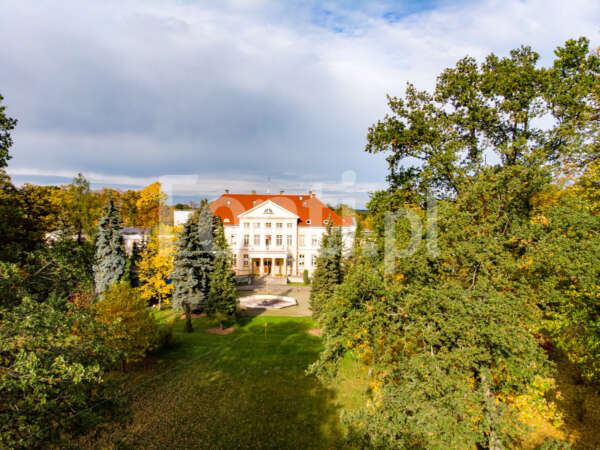 Pałac w Górznie Gmina Krzemieniewo.jpg - Fonti.pl