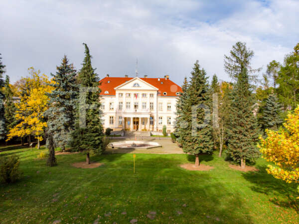 Widok na pałac w Górznie.jpg - Fonti.pl